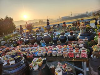 이연옥님의 기타작물 · 자유게시판 작성글 사진