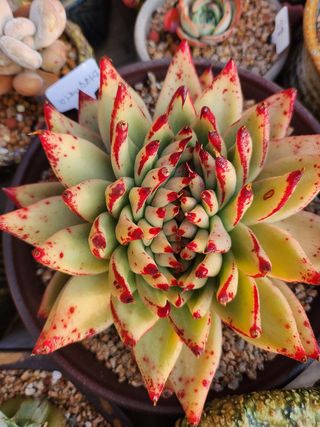 이연옥님의 기타작물 · 자유게시판 작성글 사진