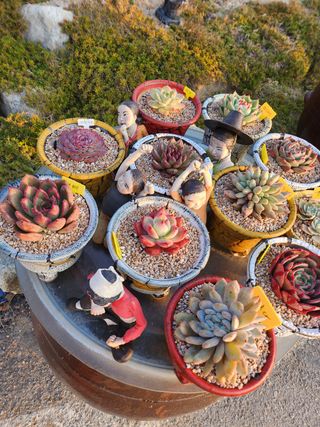 이연옥님의 기타작물 · 자유게시판 작성글 사진