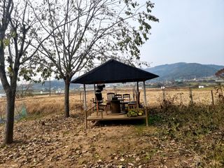 밝은숲님의 들깨 · 자유게시판 작성글 사진