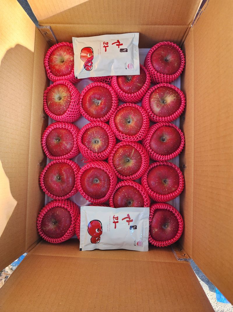 현등농원♡님의 장터 판매 상품 [25년 부사사과(5키로)] 첨부 사진