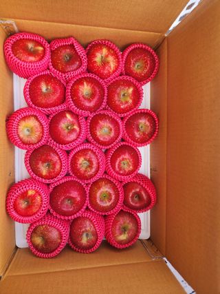 현등농원♡님의 작성글 사진