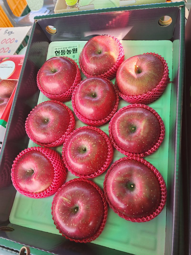 현등농원♡님의 장터 판매 상품 [23년부사사과🍎 ] 첨부 사진