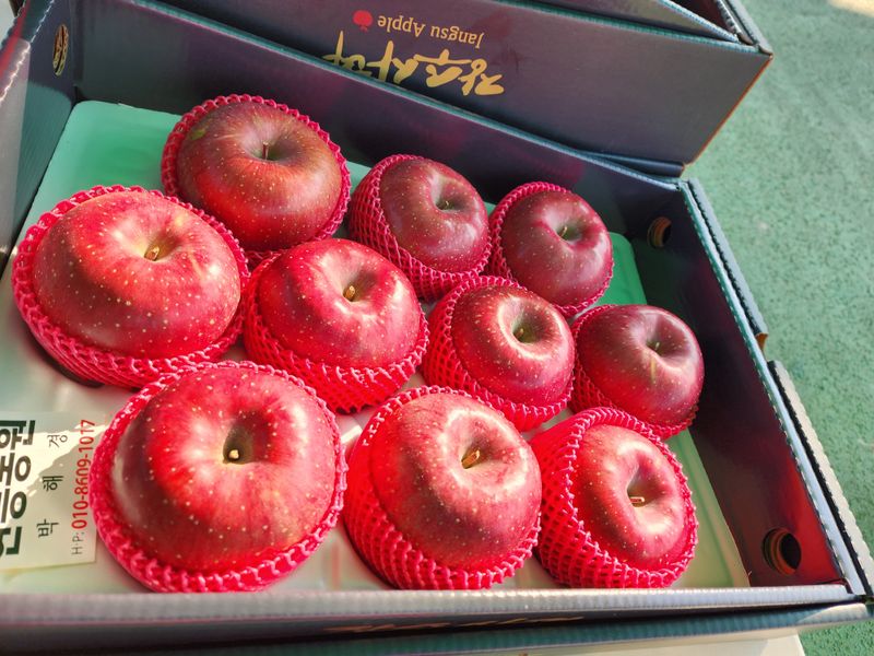 현등농원♡님의 장터 판매 상품 [23년부사사과🍎 ] 첨부 사진