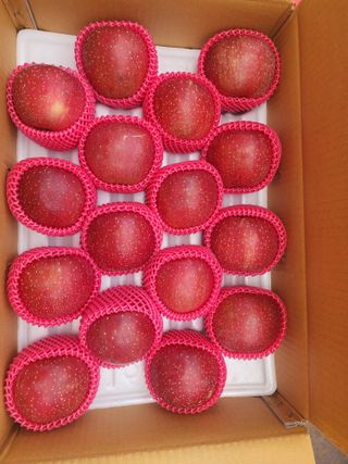 현등농원♡님의 작성글 사진