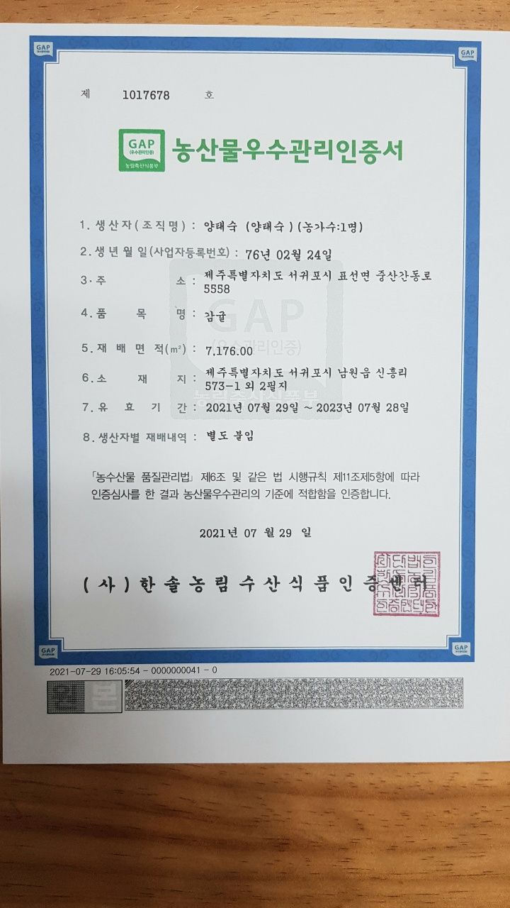 양태숙님의 장터 판매 상품 [GAP 인증 노지조생귤  10kg 1박스 ] 첨부 사진