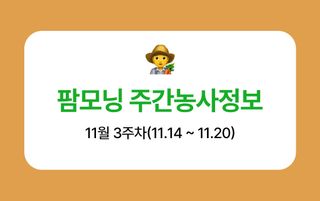 팜모닝 농사도우미님의 기타작물 · 농사길잡이 작성글 사진