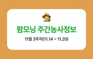 버섯 농사도우미님의 버섯 · 생장기 농작업 작성글 사진