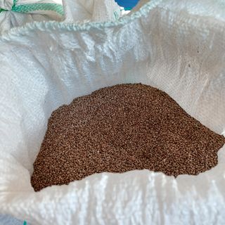 허재영 님의 들깨 · 자유게시판 작성글 사진