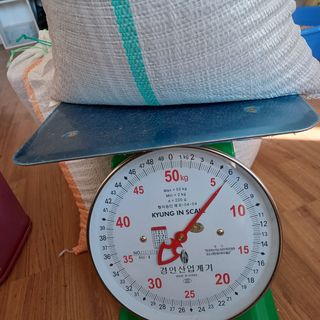 허재영 님의 들깨 · 자유게시판 작성글 사진