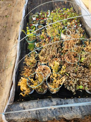 Preotu님의 기타작물 · 자유게시판 작성글 사진