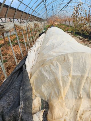 Preotu님의 기타작물 · 자유게시판 작성글 사진