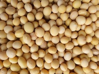 권철환님의 작성글 사진