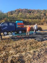 팜모닝 · 게시글 이미지