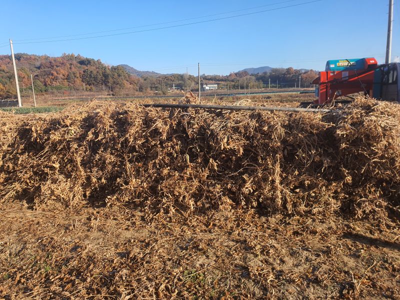 권철환님의 장터 판매 상품 [메주콩 8kg(1말)] 첨부 사진