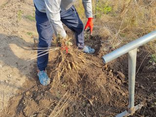 이창신님의 기타작물 · 자유게시판 작성글 사진