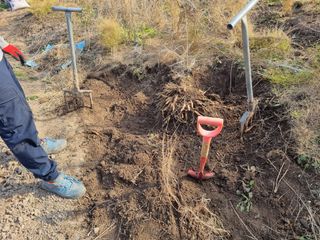 이창신님의 기타작물 · 자유게시판 작성글 사진