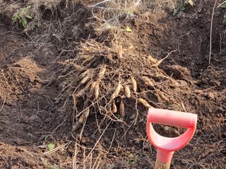 이창신님의 기타작물 · 자유게시판 작성글 사진