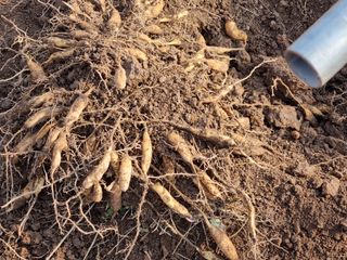 이창신님의 기타작물 · 자유게시판 작성글 사진