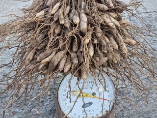 이창신님의 기타작물 · 자유게시판 작성글 사진