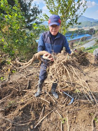 치악산자연농원 님의 기타작물 · 자유게시판 작성글 사진
