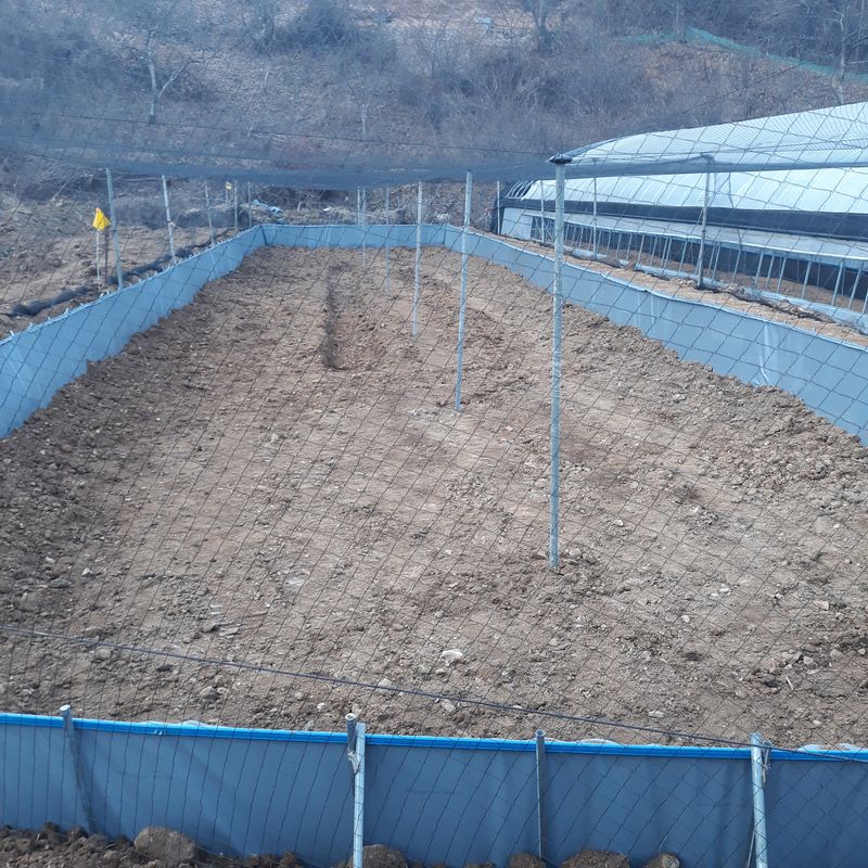 김석현님의 장터 판매 상품 [미꾸라지 ] 첨부 사진