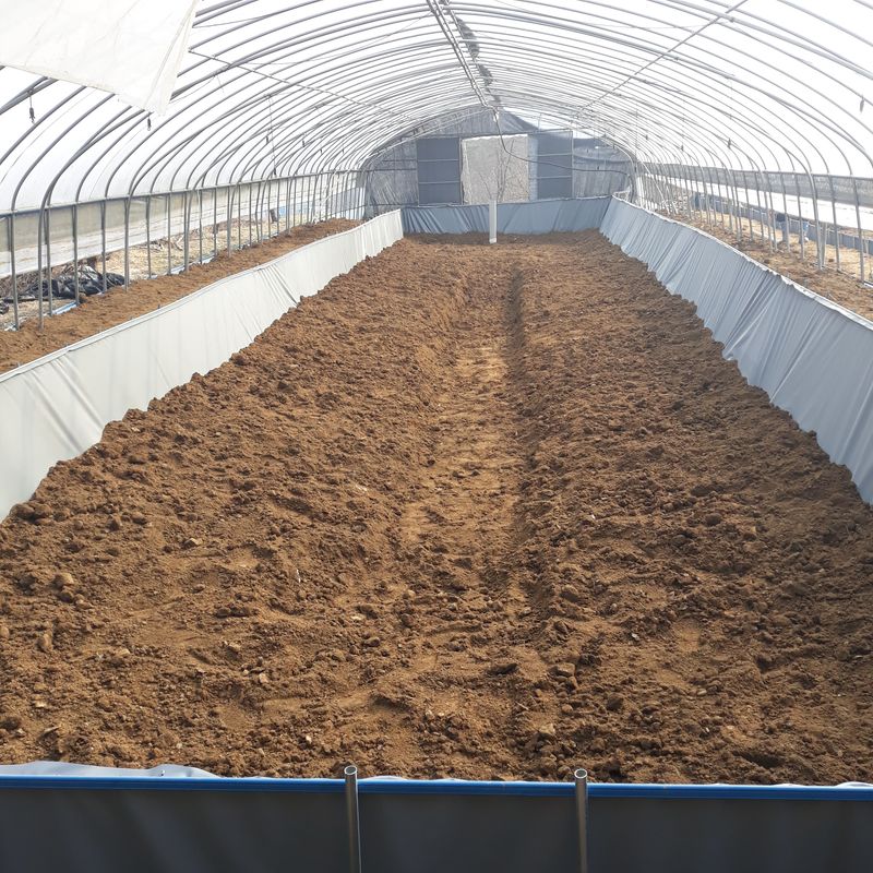 김석현님의 장터 판매 상품 [미꾸라지 ] 첨부 사진