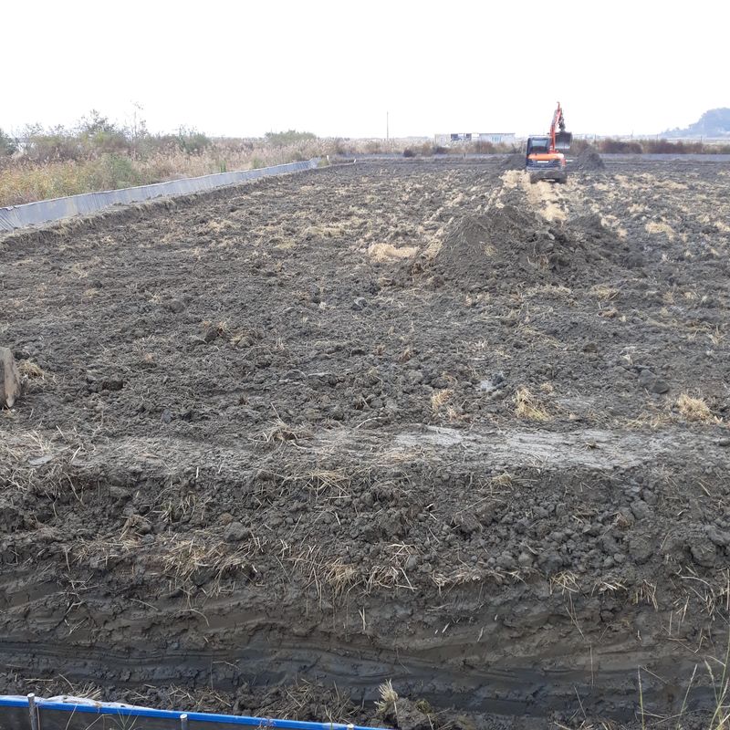 김석현님의 장터 판매 상품 [미꾸라지 ] 첨부 사진