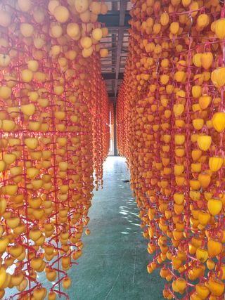 사과와곶감님의 사과 · 저장•가공 작성글 사진