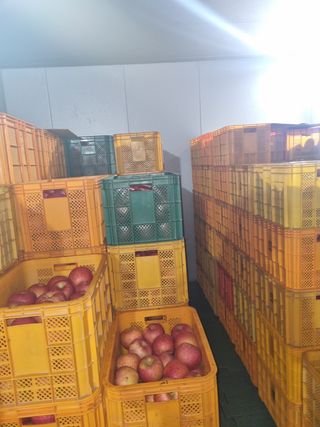 사과와곶감님의 사과 · 저장•가공 작성글 사진