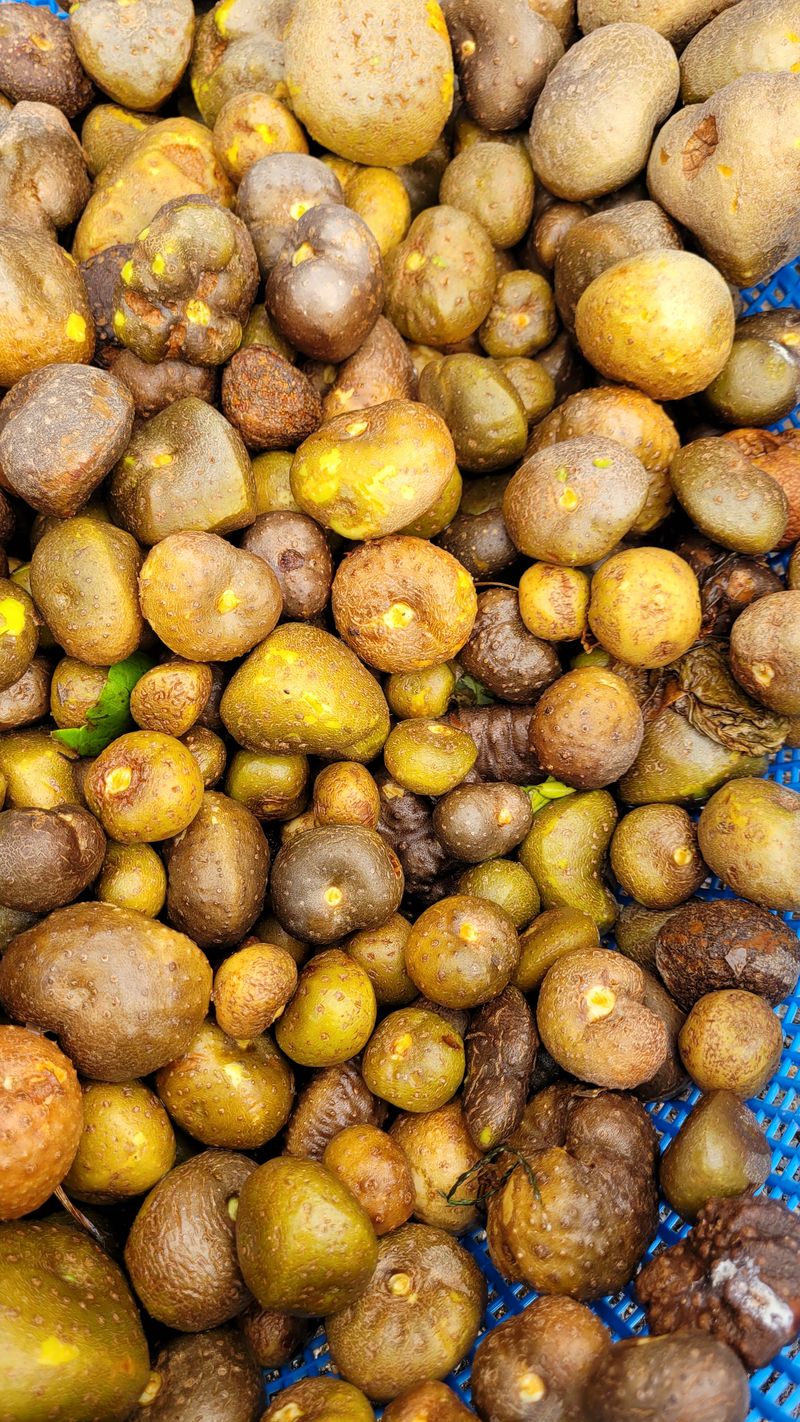 장터 상품 [하늘마가루 1키로 0.5키로] 썸네일