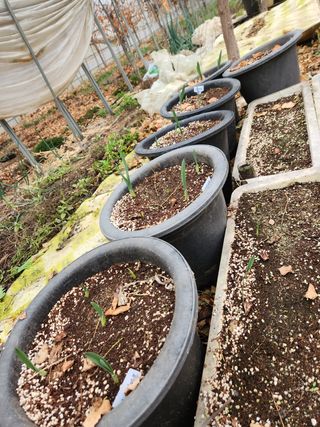 Preotu님의 기타작물 · 자유게시판 작성글 사진