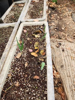 Preotu님의 기타작물 · 자유게시판 작성글 사진