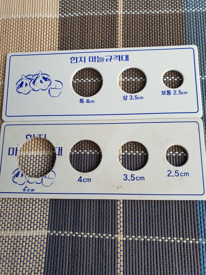 의성마늘(한지형)님의 장터 판매 상품 [의성한지형마늘 ★뿌리제거마늘★] 첨부 사진