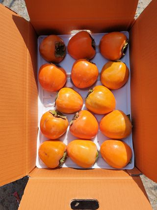 이성환님의 감 · 자유게시판 작성글 사진