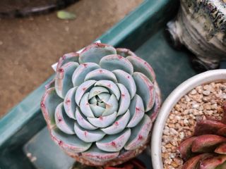 이연옥님의 기타작물 · 자유게시판 작성글 사진