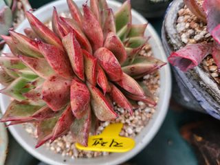 이연옥님의 기타작물 · 자유게시판 작성글 사진