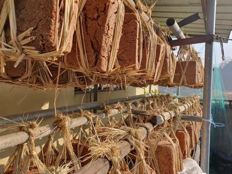 장터 상품 [메주 예약받음 문자주시면 계좌번호 드립니다.] 썸네일