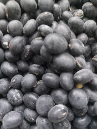 배문희님의 콩 · 자유게시판 작성글 사진