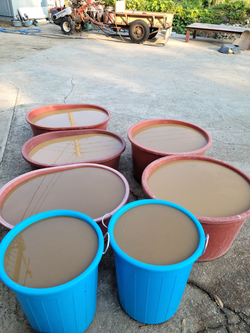 강화댁님의 장터 판매 상품 [국산 도토리가루 1.2키로(한되)] 첨부 사진