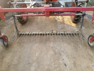 예천군 님의 작성글 사진