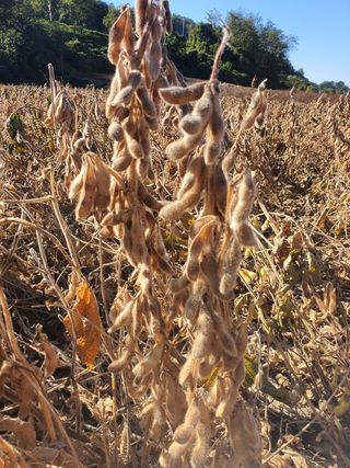 권철환님의 작성글 사진