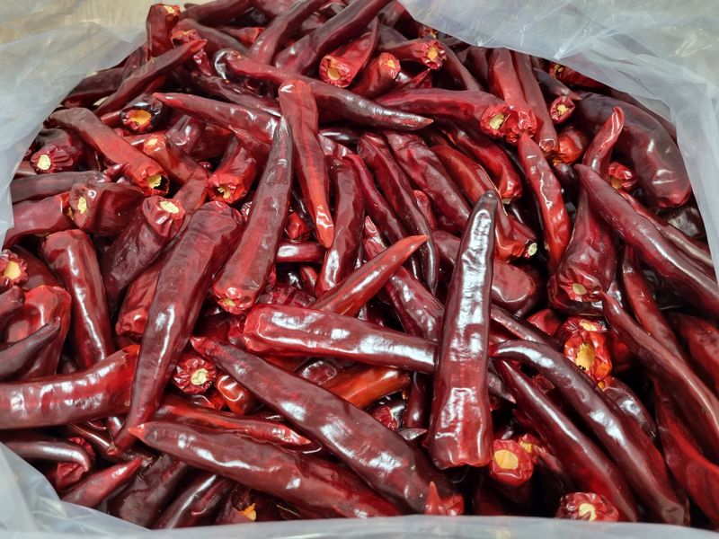 김영섭 님의 장터 판매 상품 [강원도 영월군 삼옥리 건고추 ( 600g )] 첨부 사진