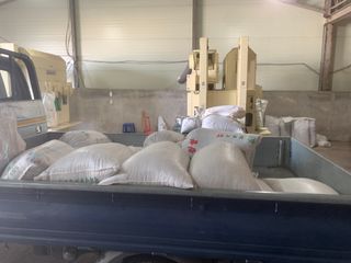 이제현님의 콩 · 자유게시판 작성글 사진