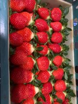 팜모닝 콩·자유게시판 게시글 이미지