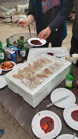 송광만님의 배추 · 일상 작성글 사진