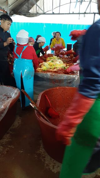 송광만님의 배추 · 일상 작성글 사진