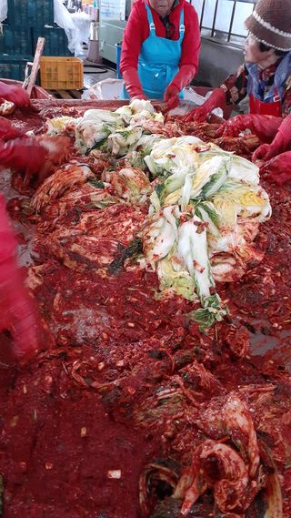 송광만님의 배추 · 일상 작성글 사진