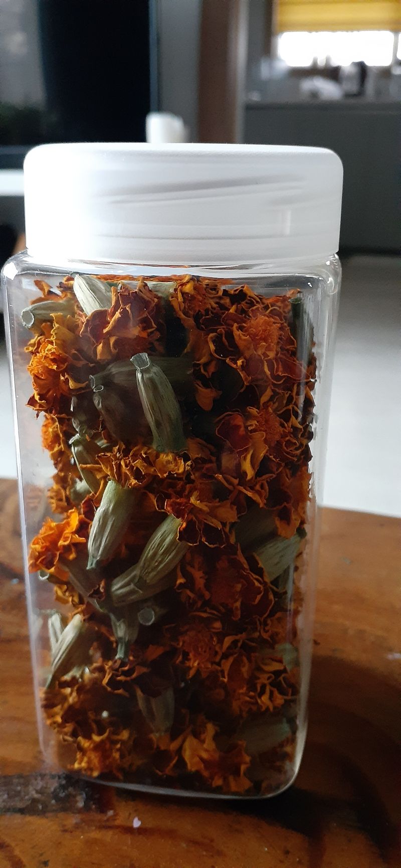 살로매님의 장터 판매 상품 [구봉산 아래 자생으로 피는 겹 메리골드입니다 500미리병] 첨부 사진