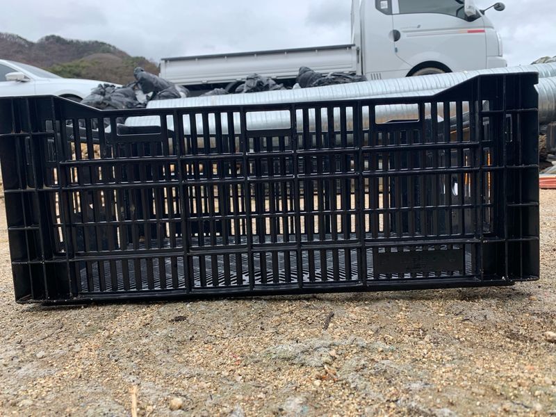 장터 상품 [콘티상자] 썸네일